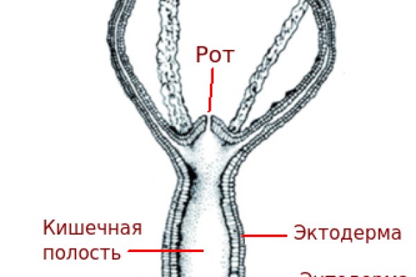 Kraken darknet kraken darknet 2n com