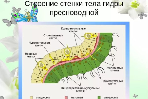 Адрес кракен в тор