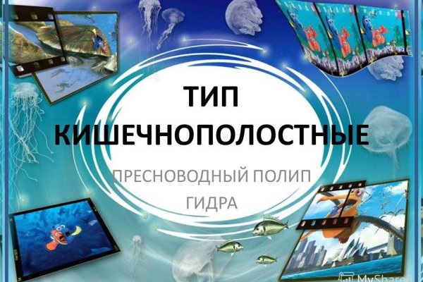 Kraken площадка