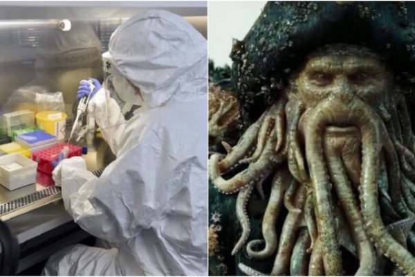 Kraken 12 at